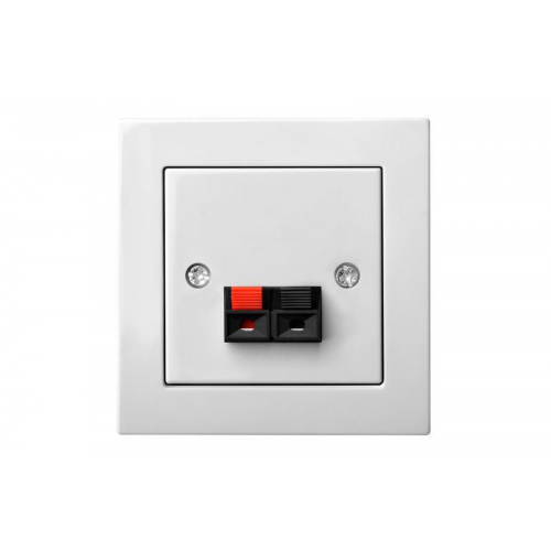 Розетка Аудио Liregus EPSILON 28-036