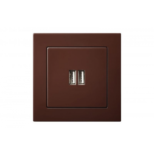 Розетка USB Liregus EPSILON 28-1453