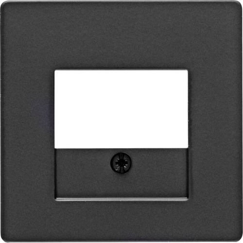 Накладка для розетки USB Berker Q.1 10336086