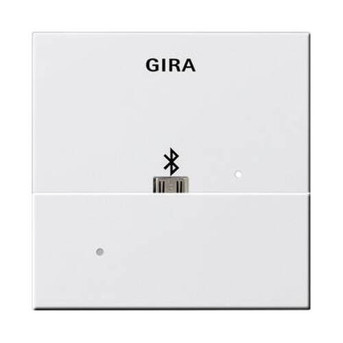 Адаптер USB Микро-B для вставки док-станции Gira SYSTEM 55 228503