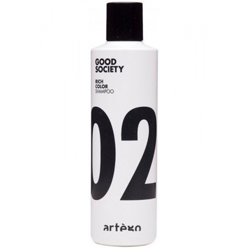 Artego Шампунь Rich Color Shampoo для Окрашенных Волос, 250 мл