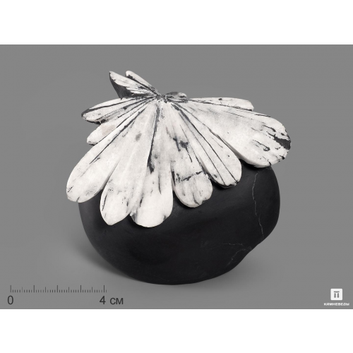 Целестин на аргиллите «хризантемовый камень», 9,5х9,4х7 см