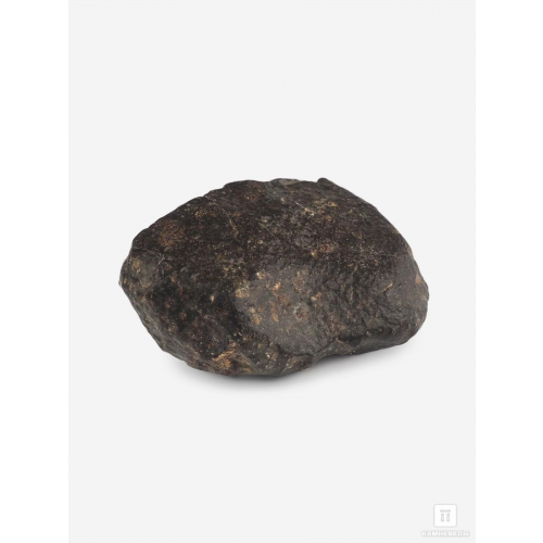 Метеорит NWA 869, 3,1х2,7х1,5 см (21 г)