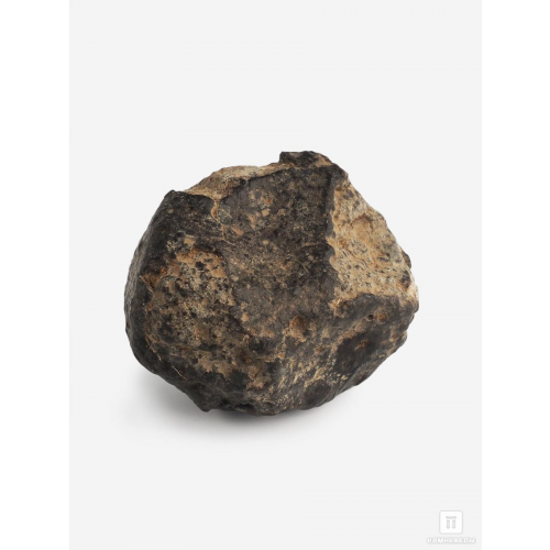 Метеорит NWA 869, 3,8х3х2,5 см (47,4 г)