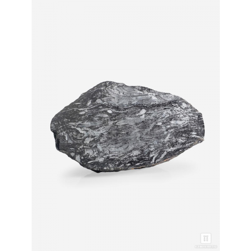 Угольная почка (Coal boll) с отпечатком палеофлоры, 19,0х10х7,3 см