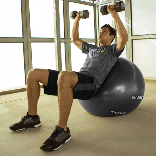 Мяч для развития баланса SKLZ PRO Stability Ball 65 см