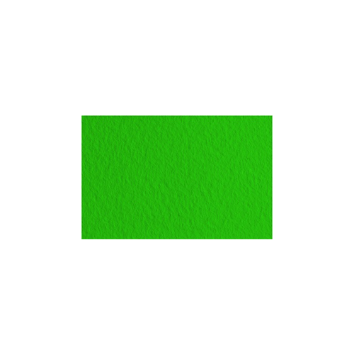 Бумага для пастели Fabriano "Тiziano" 21x29,7 см 160 г №37 ярко-зеленый FBR-21297137