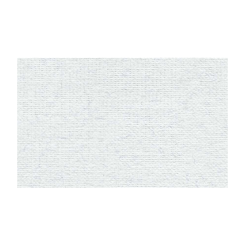 Бумага для пастели "Палаццо" 50x70 см 160 г белый лед Лилия Холдинг ЛХ-БPI/B2