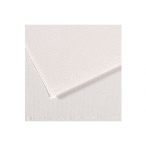 Бумага для пастели Canson "MI-TEINTES" 21x29,7 см 160 г №335 белый CN-200271655
