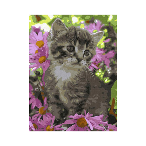Картина по номерам Molly СЕРЫЙ КОТЕНОК (18 цветов) на подрамнике KK0605