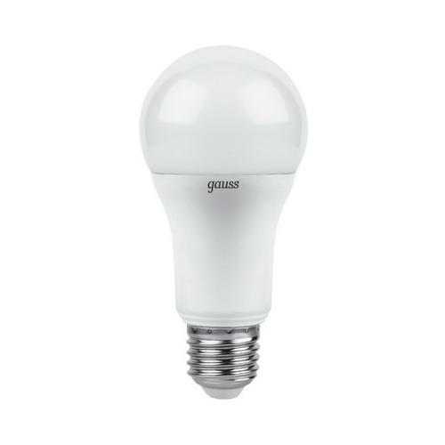 Лампа GAUSS LED A 60 globe 12 W E 27 2700 K 102502112