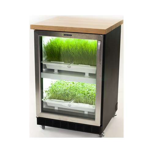 Автоматический гроубокс для выращивания микрозелени Urban Cultivator RESIDENTIAL