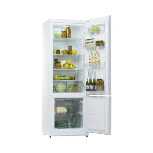 Двухкамерный холодильник Snaige RF32SM-S0002G0820Z18XSNBX (RF 32SM-S10021)
