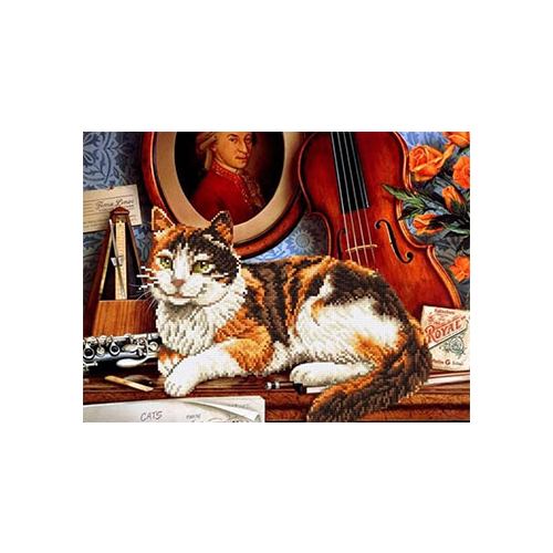 Алмазная мозаика Цветной ''Кот и скрипка''(Частичная) (40х50) на подрамнике lgp008