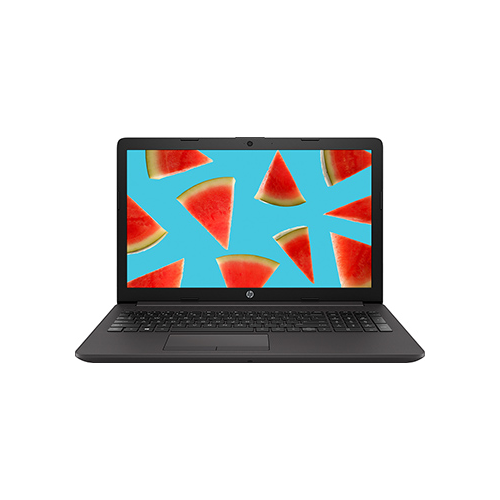 Ноутбук HP 255 G7 (2D232EA) Металик