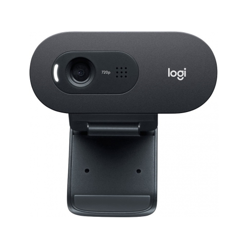 Web-камера Logitech C505 (960-001364)