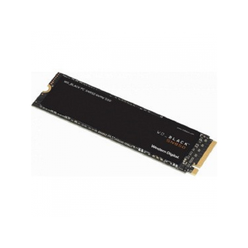 SSD-накопитель Western-Digital Original (WDS500G1X0E)