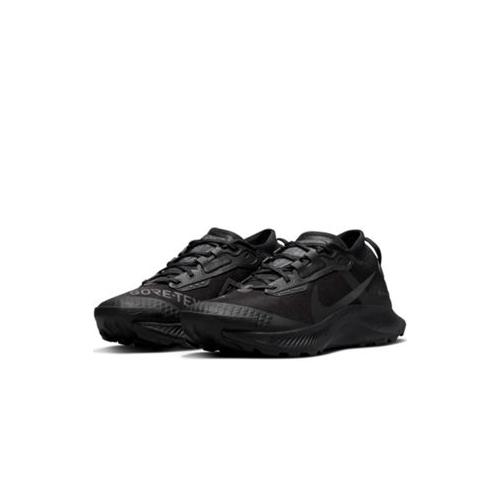 Черные кроссовки Nike Running Pegasus Trail GTX-Черный цвет
