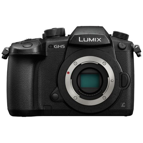 Фотоаппарат системный Panasonic GH5