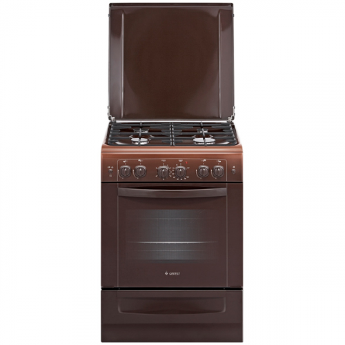 Комбинированная плита (60 см) Gefest ПГЭ 6101-02 0001