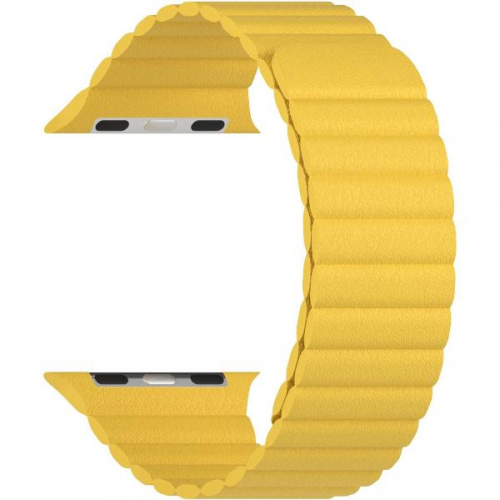 Ремешок LYAMBDA Apple Watch 38/40mm POLLUX DSP-24-40-YL Yellow