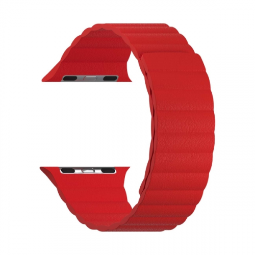 Ремешок LYAMBDA Apple Watch 42/44mm POLLUX DSP-24-44-RD Red