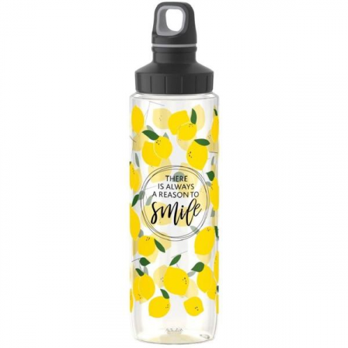 Бутылка для воды Emsa N3031300 (0,7л)