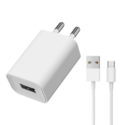 Сетевое зарядное устройство с кабелем TFN-WCRPD12W2USG