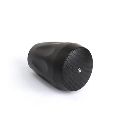 Подвесной громкоговоритель AuraSonics FLORET-4T Black