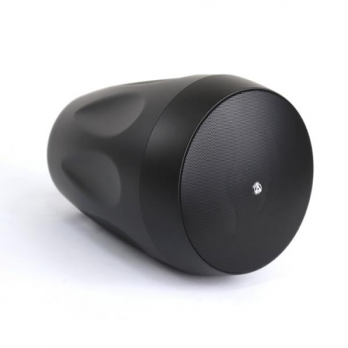 Подвесной громкоговоритель AuraSonics FLORET-6T Black