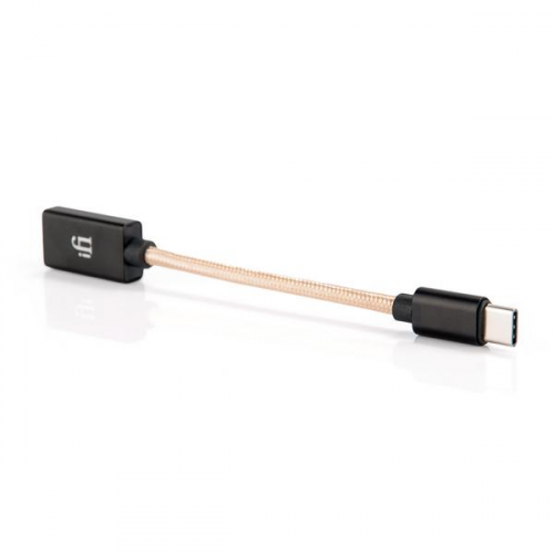 Переходник iFi audio USB-C OTG