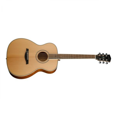 Акустическая гитара Parkwood P620