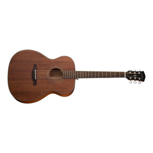 Акустическая гитара Parkwood S22M