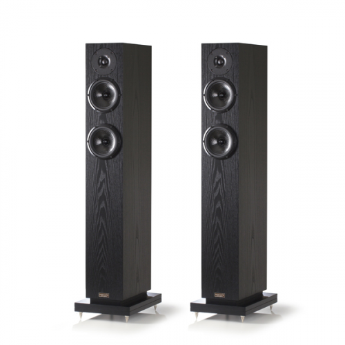 Напольная акустика Penaudio Talvi Black Ash