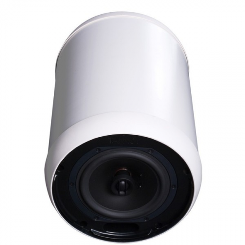 Подвесной громкоговоритель Tannoy OCV 6 White
