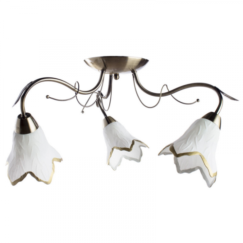 Накладная люстра ARTE Lamp A6066PL-3AB
