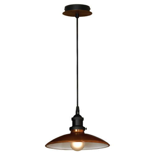 Подвесной светильник LOFT LSL-6806-01