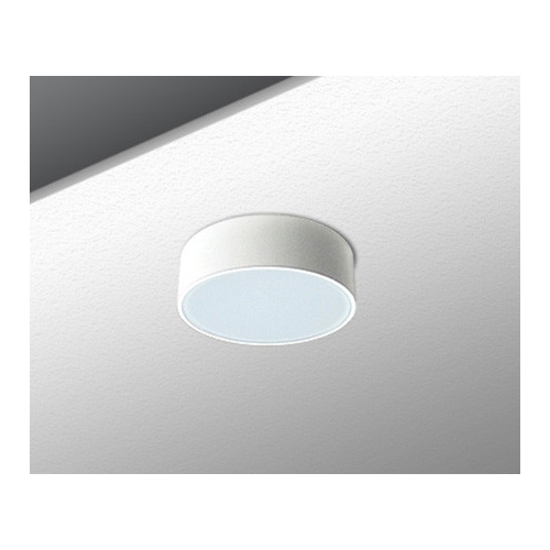Влагозащищенный светильник ITALLINE 157511 WHITE