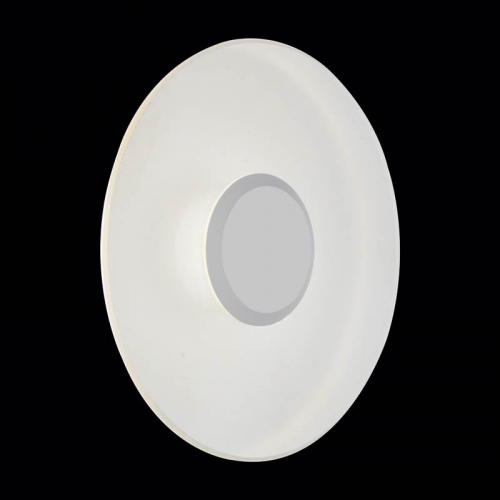 Светильник настенный ST-Luce SL925.501.01