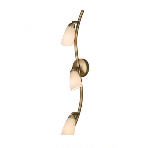 Спот Citilux CL501533