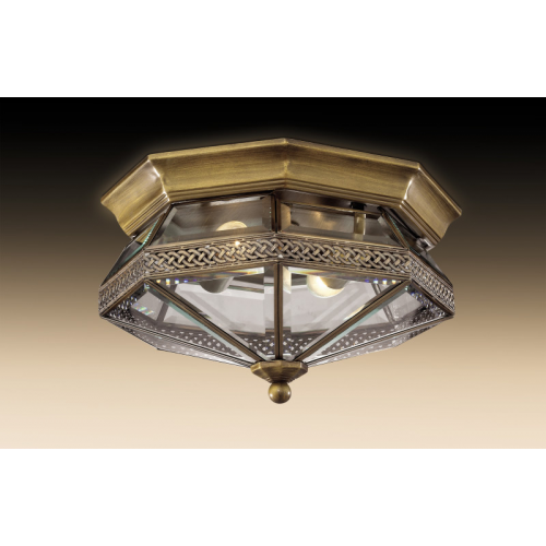 Накладной светильник Odeon Light 2545/2