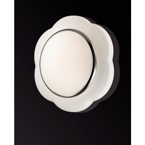 Накладной светильник Odeon Light 2403/2C