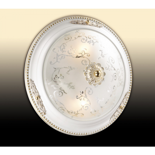 Накладной светильник Odeon Light 2670/2C