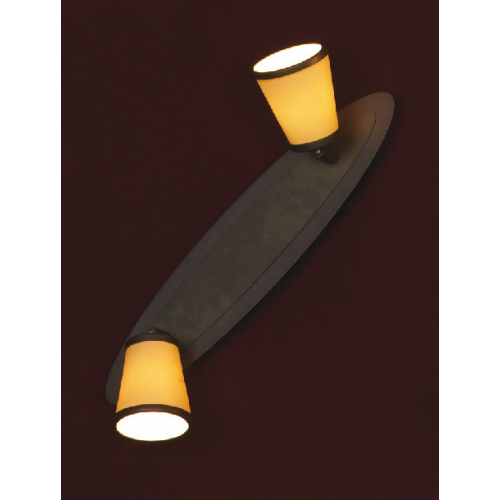Спот Lussole LSL-2301-02