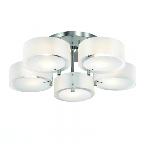 Накладная люстра ST-Luce SL483.502.05