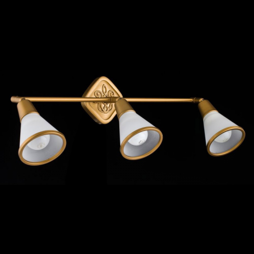 Спот Maytoni ECO008-03-G