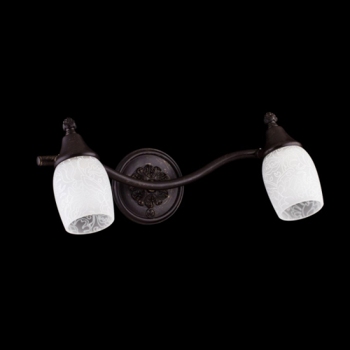 Спот Maytoni ECO563-02-R