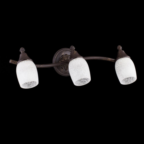Спот Maytoni ECO563-03-R