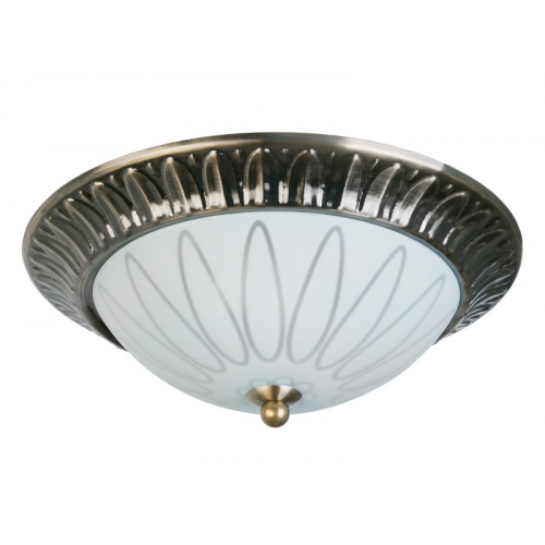 Накладная люстра TOPLIGHT TL5050Y-02AB