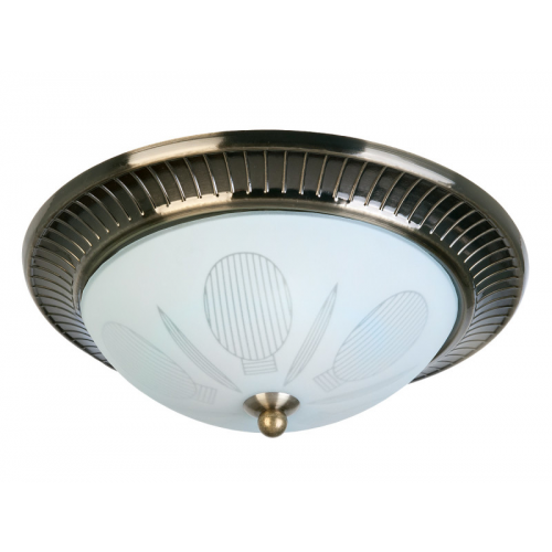 Накладная люстра TOPLIGHT TL5060Y-02AB